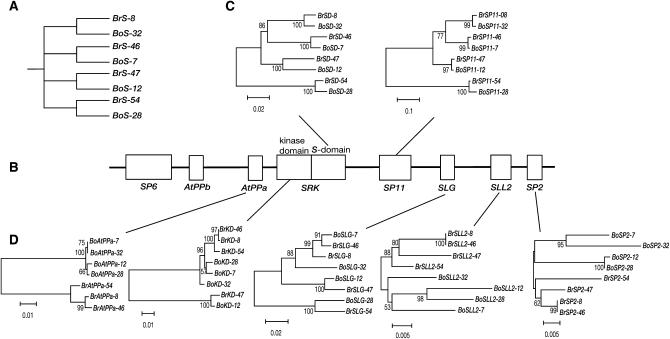 Figure 3.—