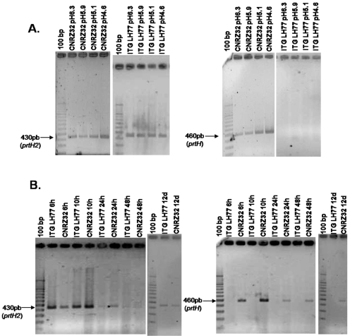 FIG. 7.