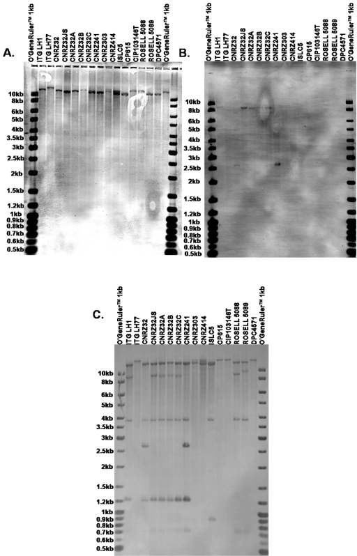 FIG. 3.