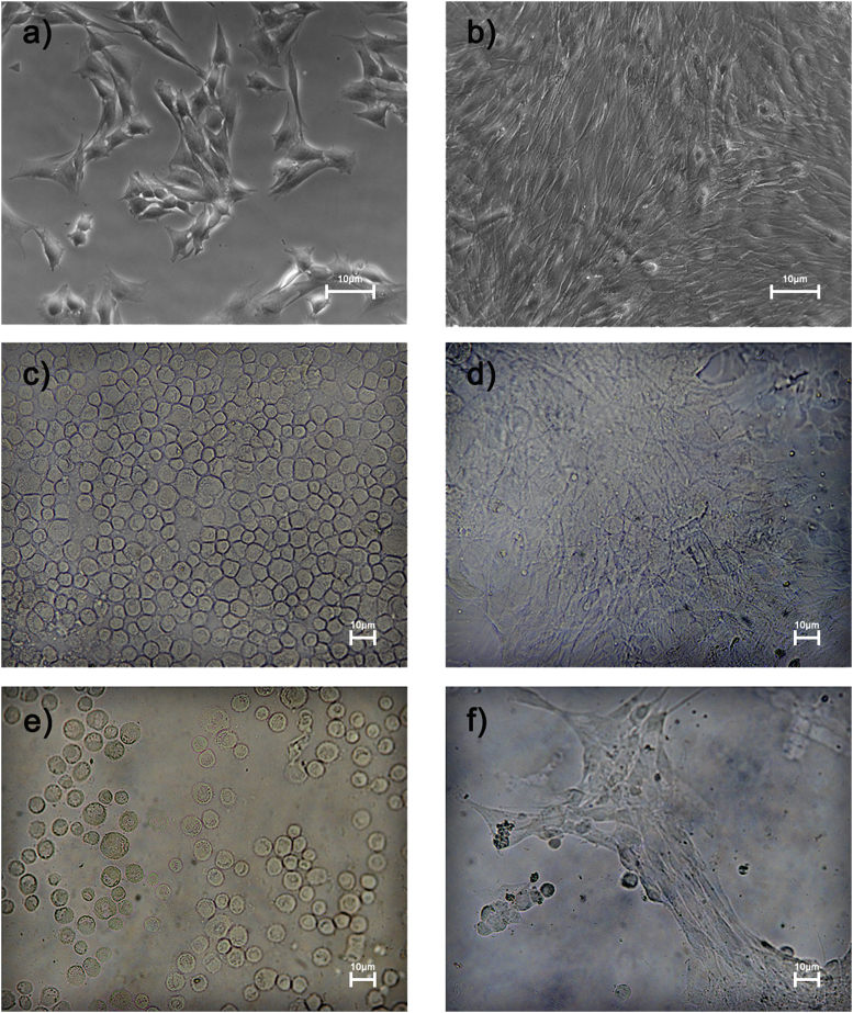 Fig. 7