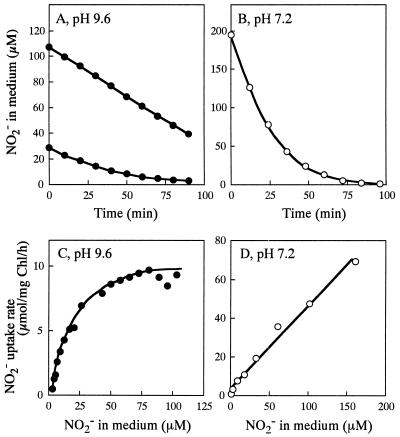 FIG. 1