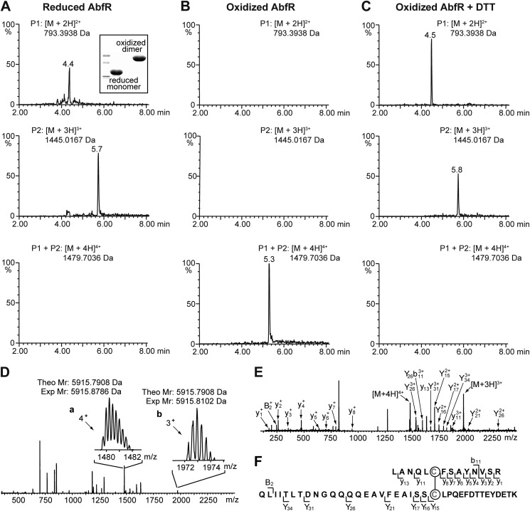 FIGURE 6.