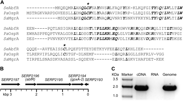 FIGURE 1.