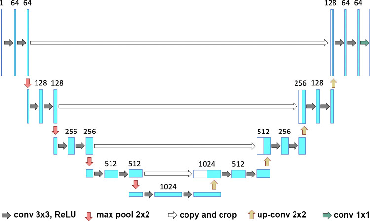 Visual representation of the U-Net framework. Conv = conversion, max pool = max pooling, ReLU = rectified linear unit.