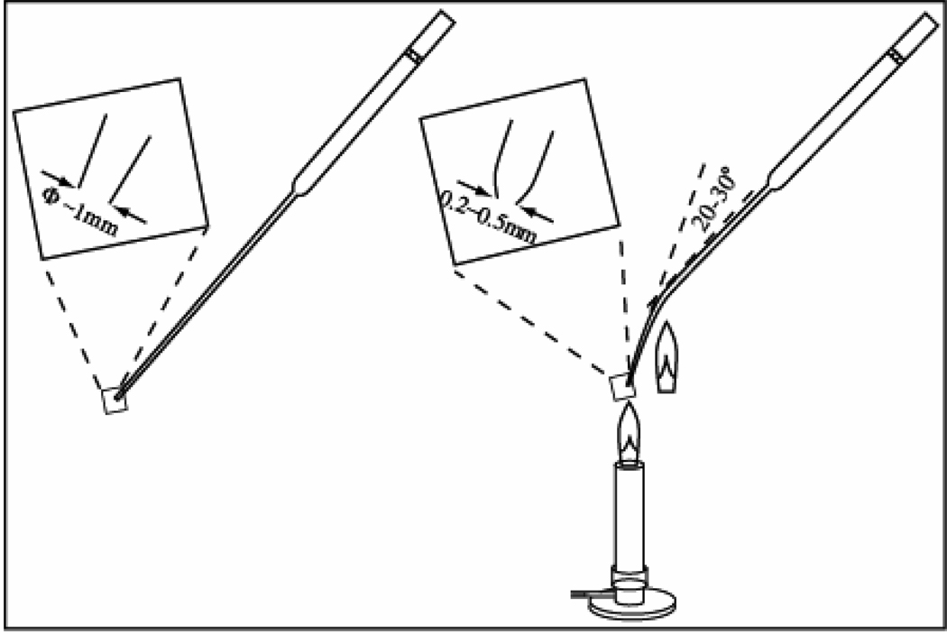 Fig. 2