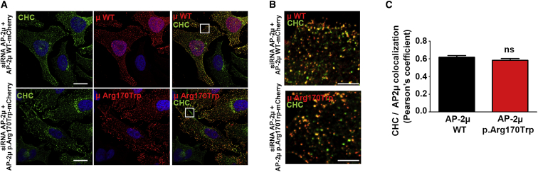 Figure 4