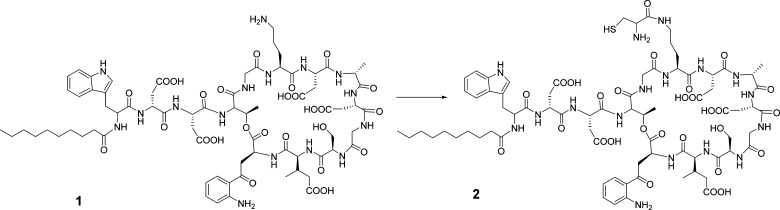 Scheme 1