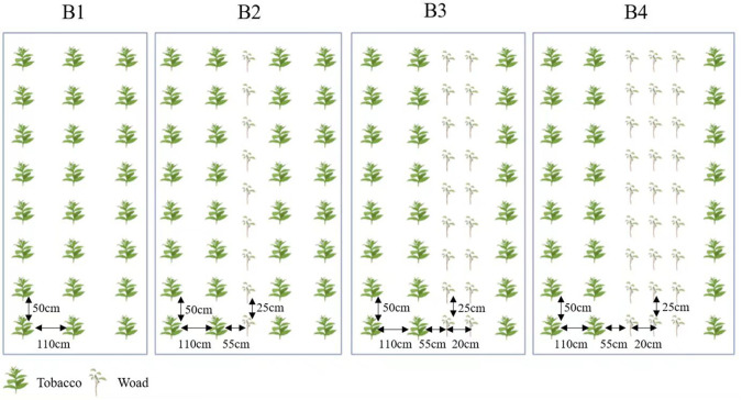 Figure 2