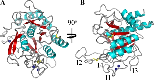 FIGURE 1.