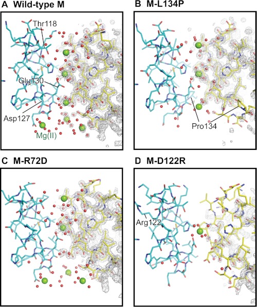 FIGURE 6.