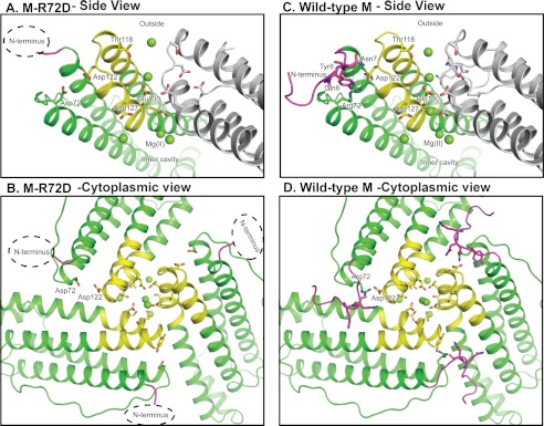 FIGURE 3.