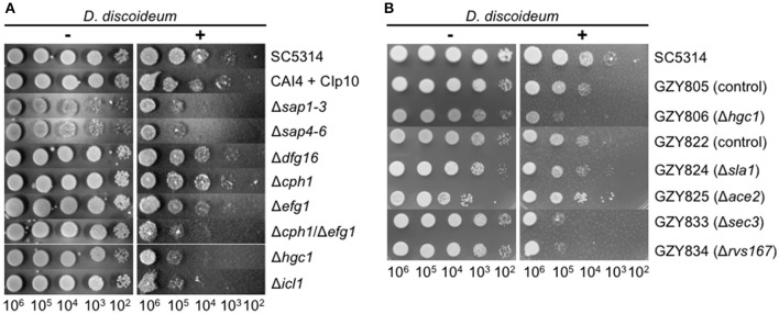 Figure 6