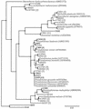 FIG. 1.