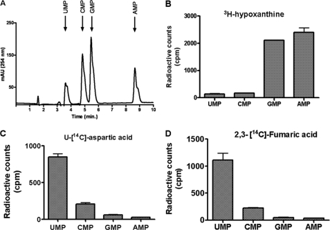 FIGURE 4.