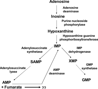 FIGURE 1.