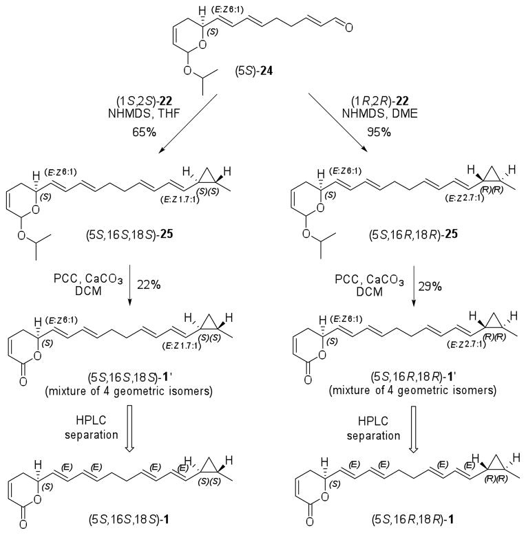 Scheme 6