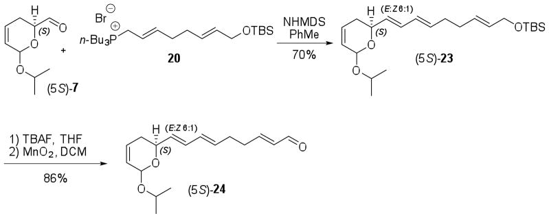 Scheme 5