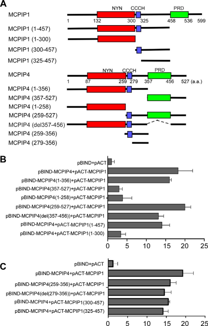 FIGURE 3.