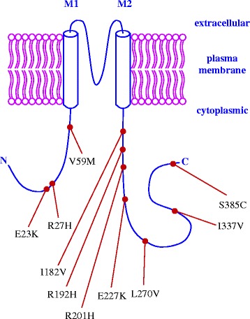 Fig. 2