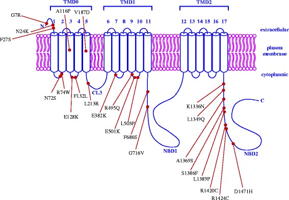 Fig. 3