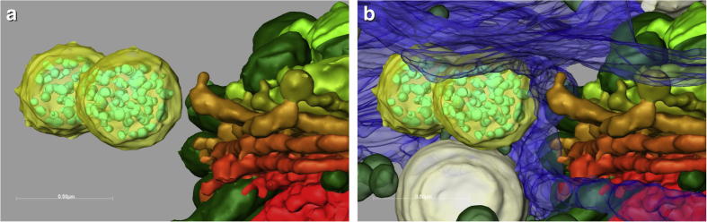 Fig.9