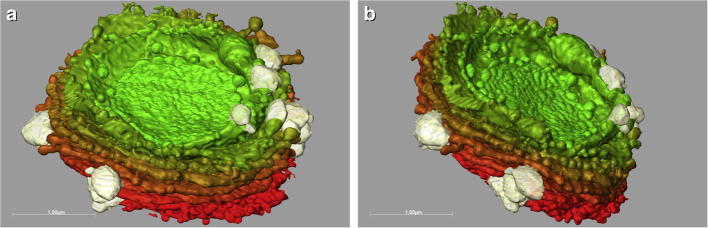 Fig.1