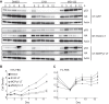 FIG 3