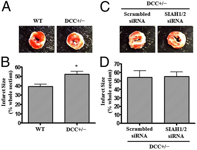 Fig. 9.