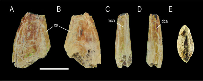 Fig. 7