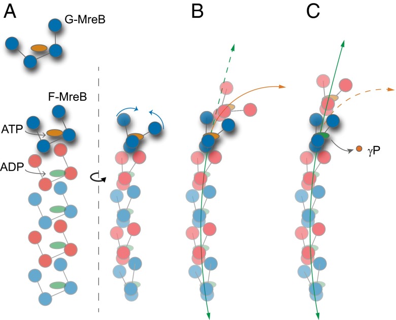 Fig. 6.