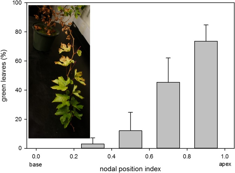 Figure 6.