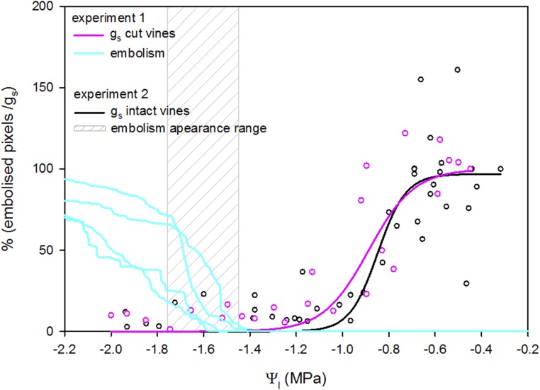 Figure 5.