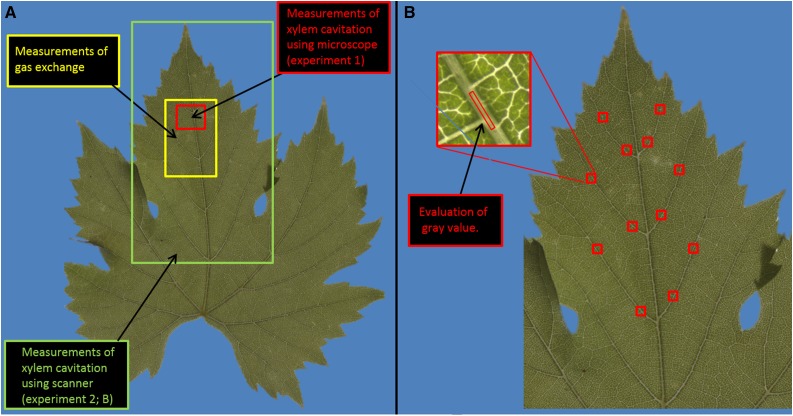 Figure 9.