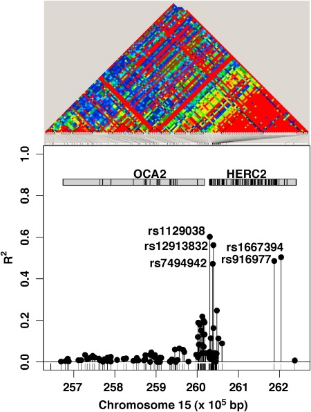 Figure 1