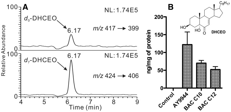 FIG. 5.