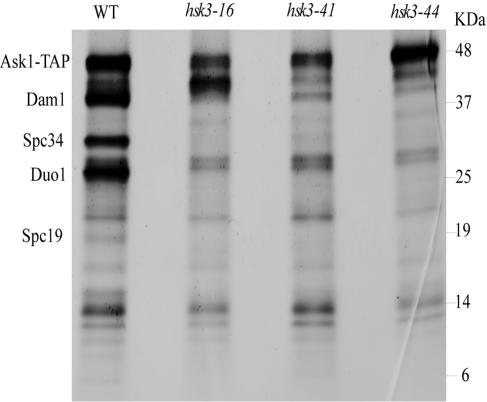 FIG. 7.