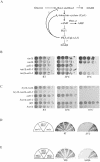 FIG. 1.