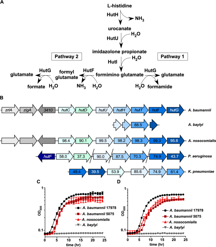 FIG 2