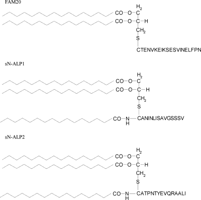 FIG. 1.