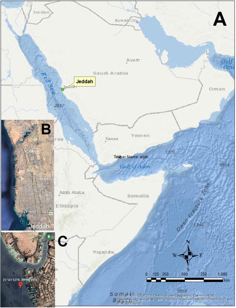 Fig. 1
