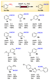 Scheme 2