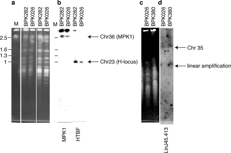 Figure 3—figure supplement 2.