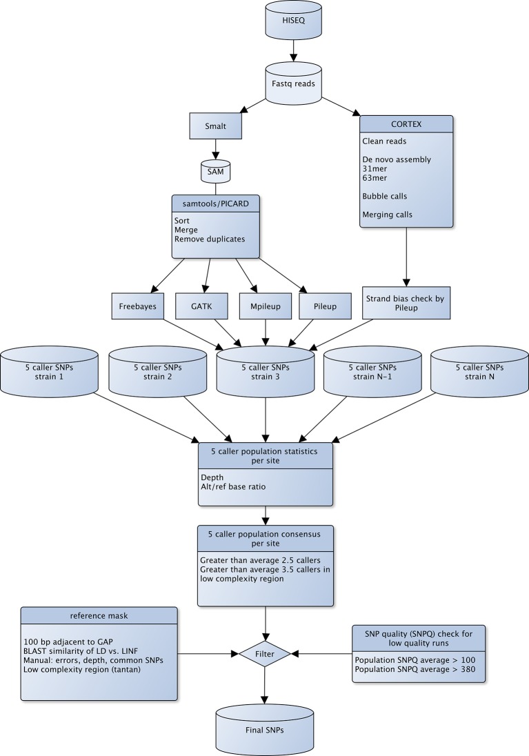 Figure 2—figure supplement 1.