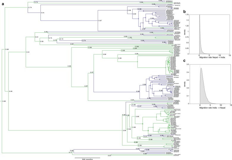 Figure 1—figure supplement 2.