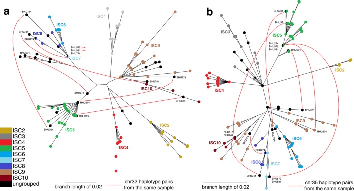 Figure 2—figure supplement 2.