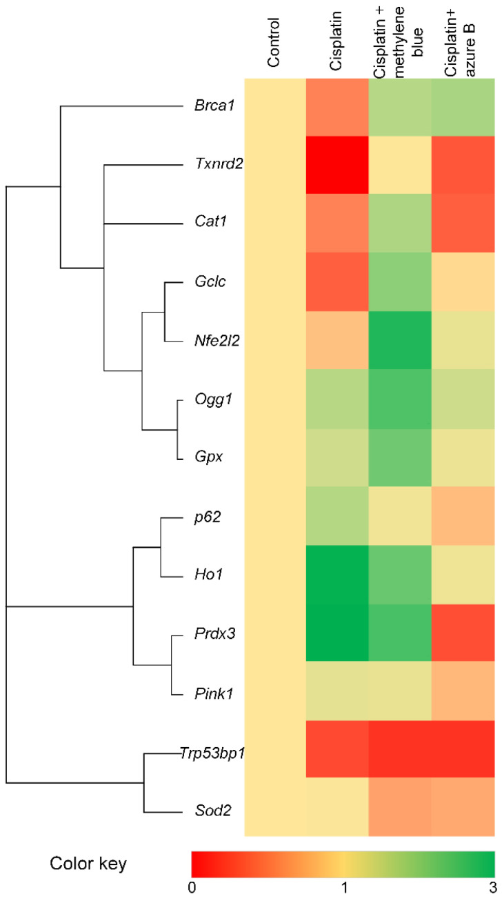 Figure 5