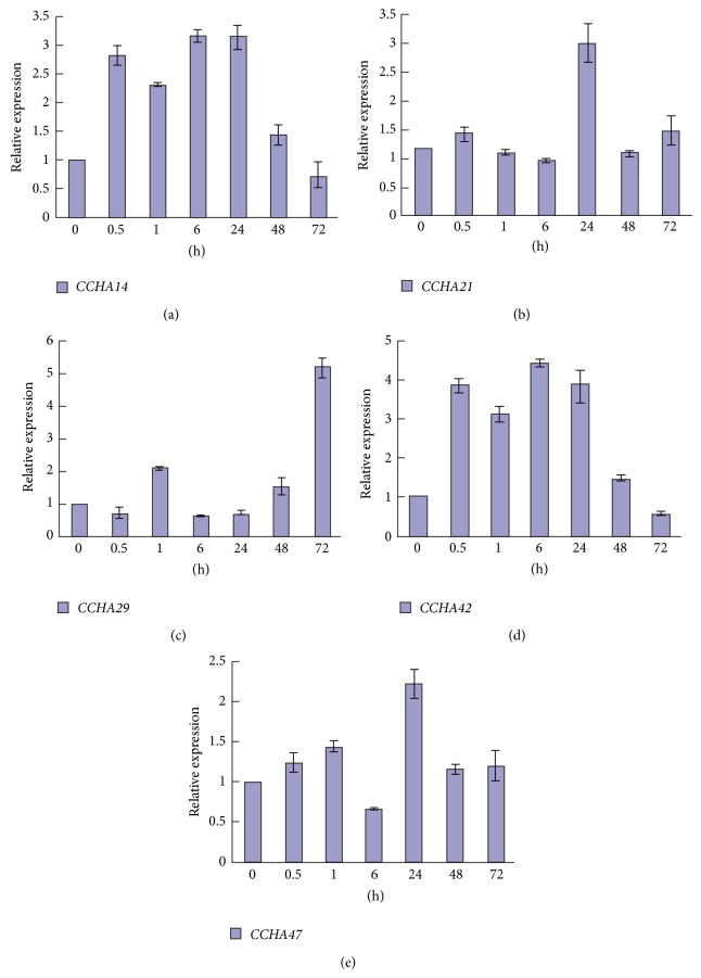 Figure 2