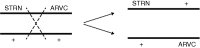 FIG 4: