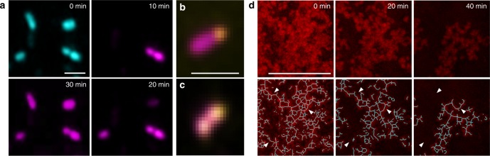 Fig. 2