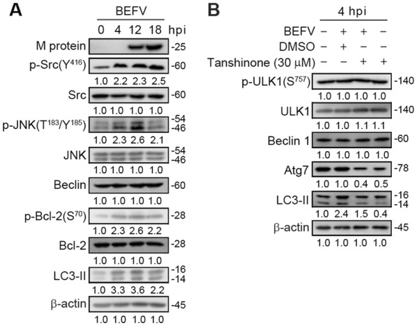 Figure 6